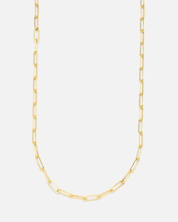 Aveer Rope Gold Chain